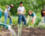 The Plum Hollow Farms guide to starting a Community Garden