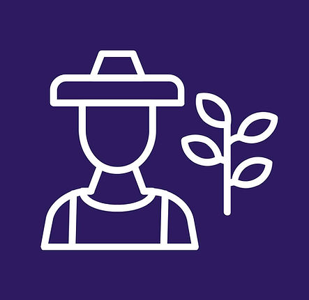 About Plum Hollow Farms - volunteer program