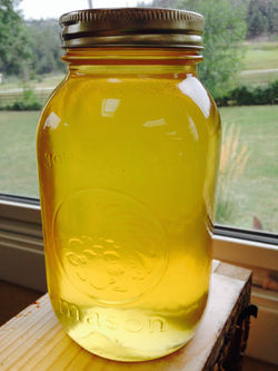 Raw South Dakota Clover Honey