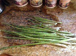 Wild Asparagus from my backyard