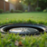 Signs Your Septic System Is on Its Last Legs and What to Do Next