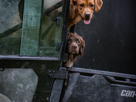 The Benefits of Shooting in the UK: Sport, Conservation and Rural Communities