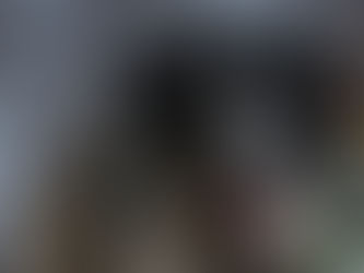 Gundogs in Action: How Skilled Retrievers Enhance UK Shooting Experiences