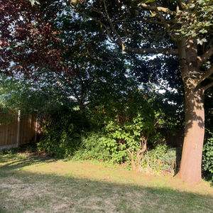 Tidying up fallen branches after a storm