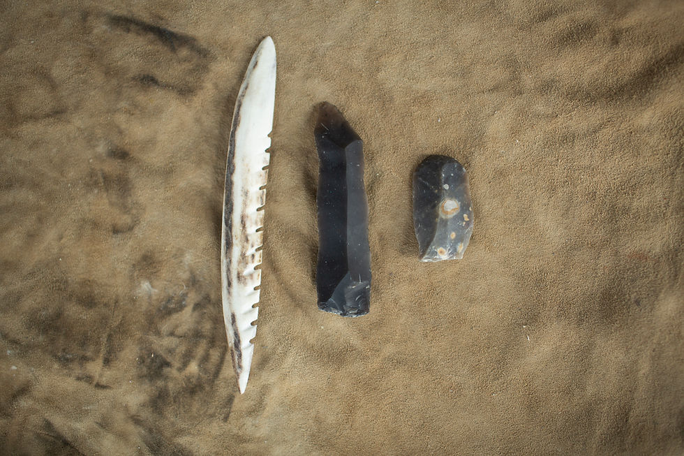 Thumbnail: Mesolithic Toolkit