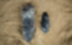 Thumbnail: Mesolithic Toolkit
