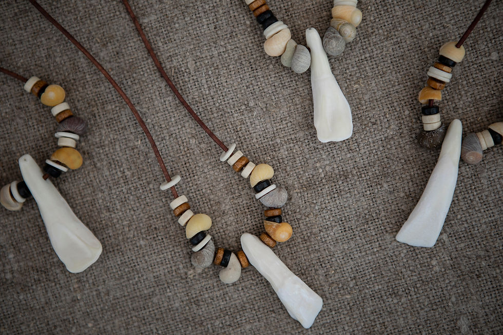 Thumbnail: Prehistoric Necklace Kit