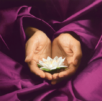 Méditation de pleine conscience, La Réunion