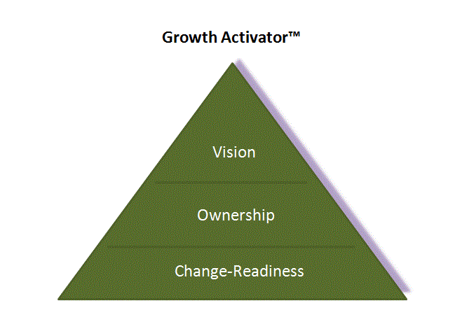 Growth, vision, ownership, change-readiness