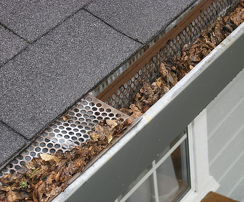 Gutter cleaning
