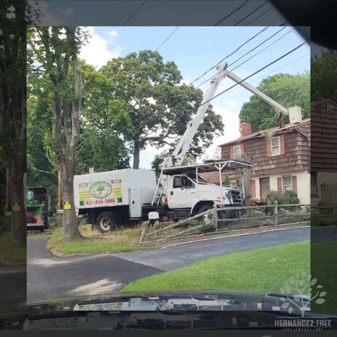 Emergency tree service 24/7 Long Island