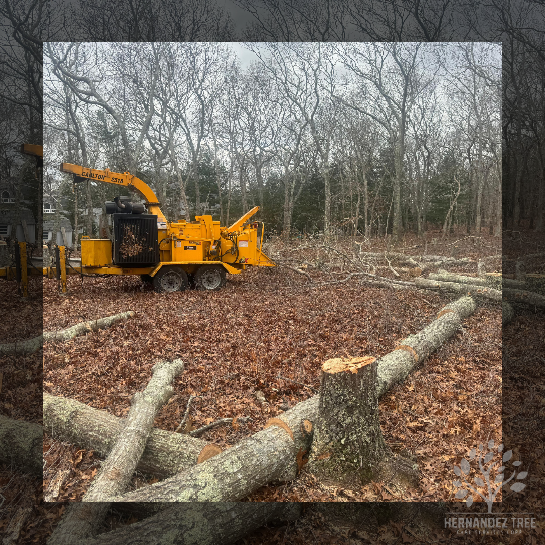 Land clearing Long Island