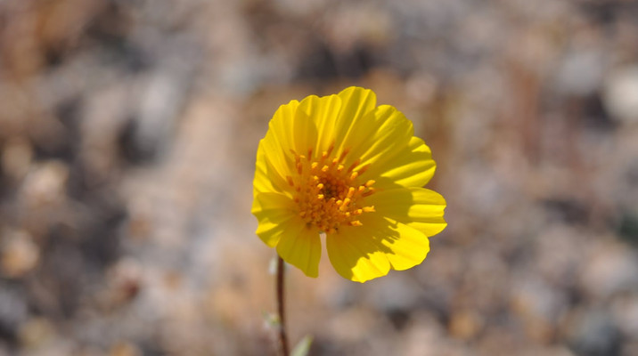 DSC_0231_edited.jpg