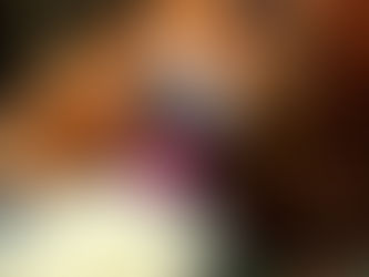 Is Basmati Rice Good For Dogs ??