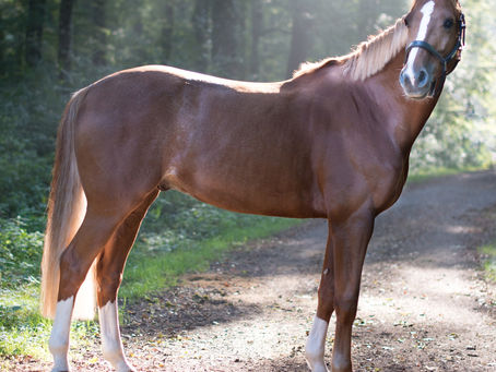 Rückständigkeit - die unsichtbare Gefahr!