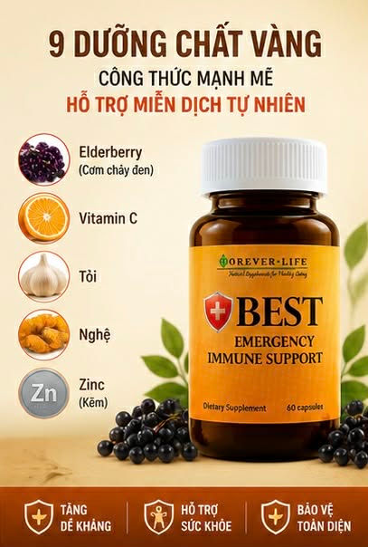 Thumbnail: FL40 - BEST EMERGENCY TĂNG ĐỀ KHÁNG CẤP TỐC