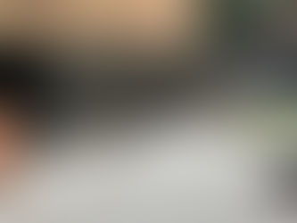 Privacy Fence Options: Inserts, Screens, and Colors to Match Your Style