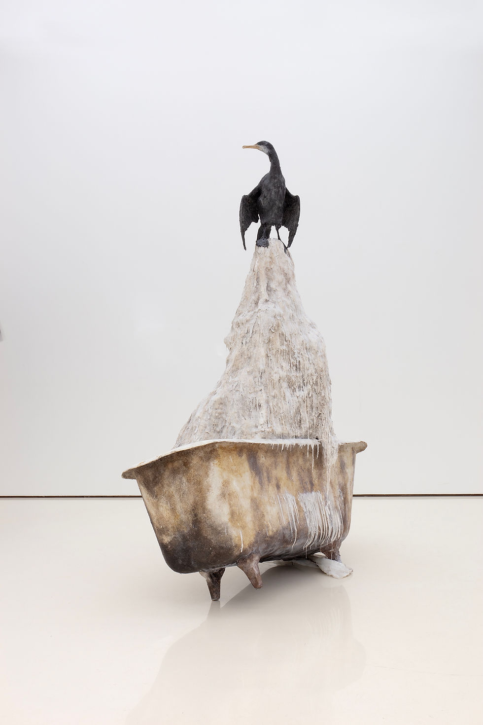 The Ordinary Anthropocene: Biodiversity in the Other 70%!