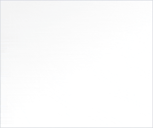 3_300x250.gif