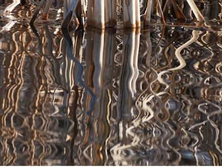 Liquid Light and Something More
