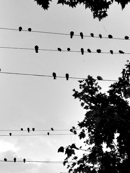 Line of Type