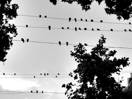 Line of Type