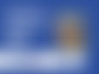 Colourful Crockery in Daisy's Café 