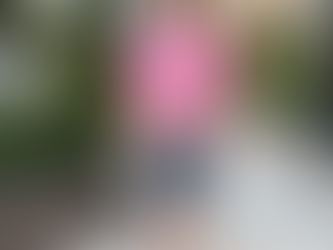 Hvorfor har Bonita Springs 25 demensinstitusjoner – og Indre Østfold kommune ingen?