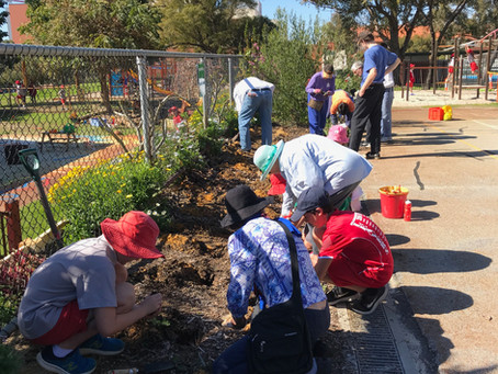 Bush Tucker Planting