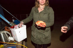 Beckoning046.jpg