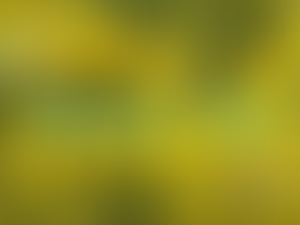 Meadow Suite: Poetry Collaboration Video