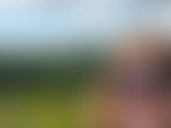 Writing Retreat/Writing Forward