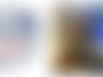 LaMATS Executive Director Highlights Services at Mid-Winter