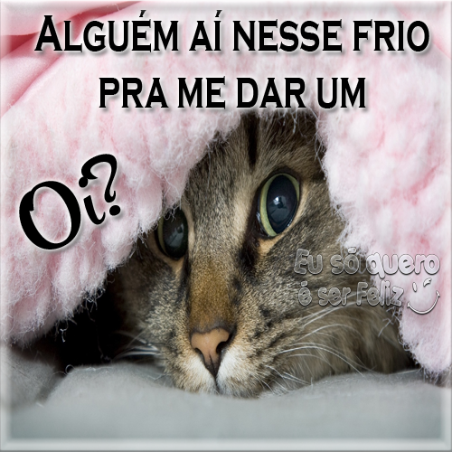 gatinho.png