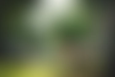 New Green Parkland at Perkins Street Brings Community Together