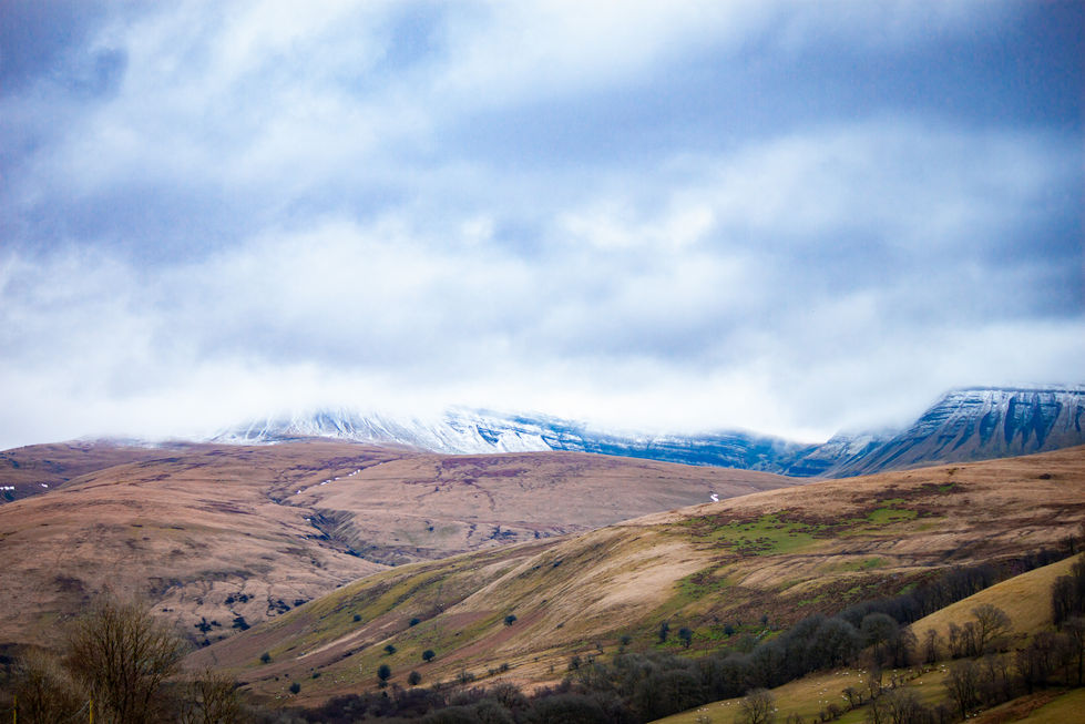 Landscape_Option-2