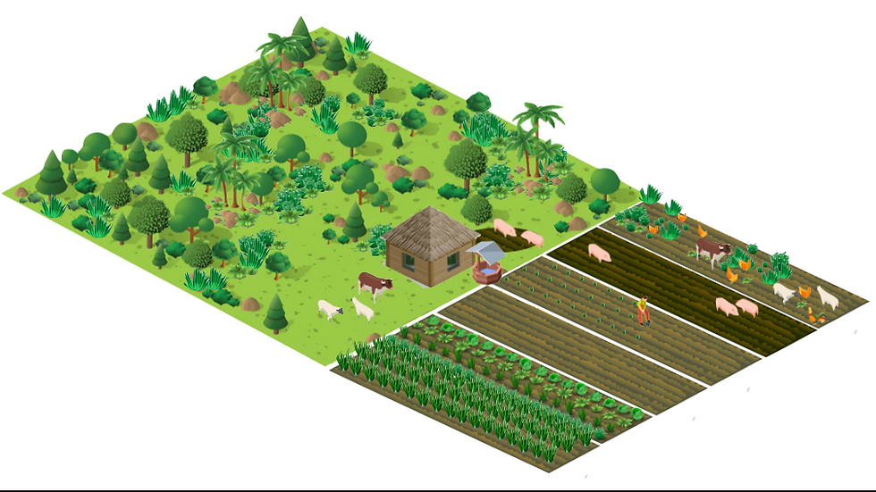 Screen Shot 2025-03-23 at 7.23.39 am.png