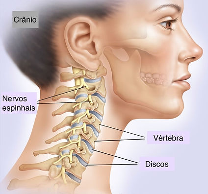 Discos intervertebrais