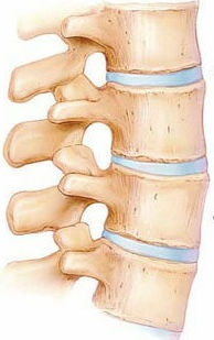 Anatomia da coluna e vértebra e discos intervertebrais
