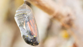 Tra soglia e orizzonte