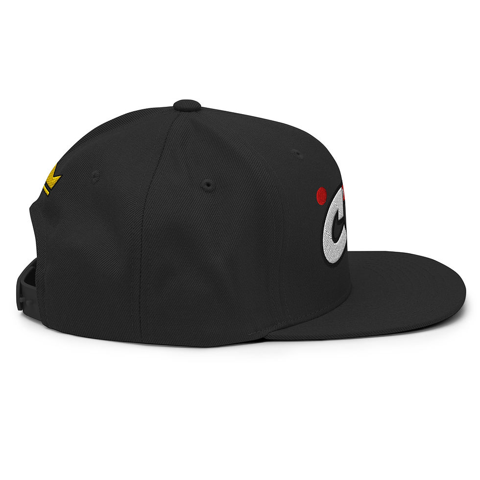 Thumbnail: CTV 3D Snapback