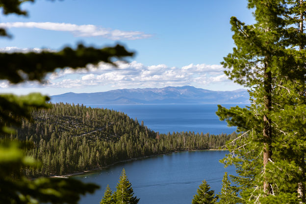 Fallen Leaf_2022_7.jpg