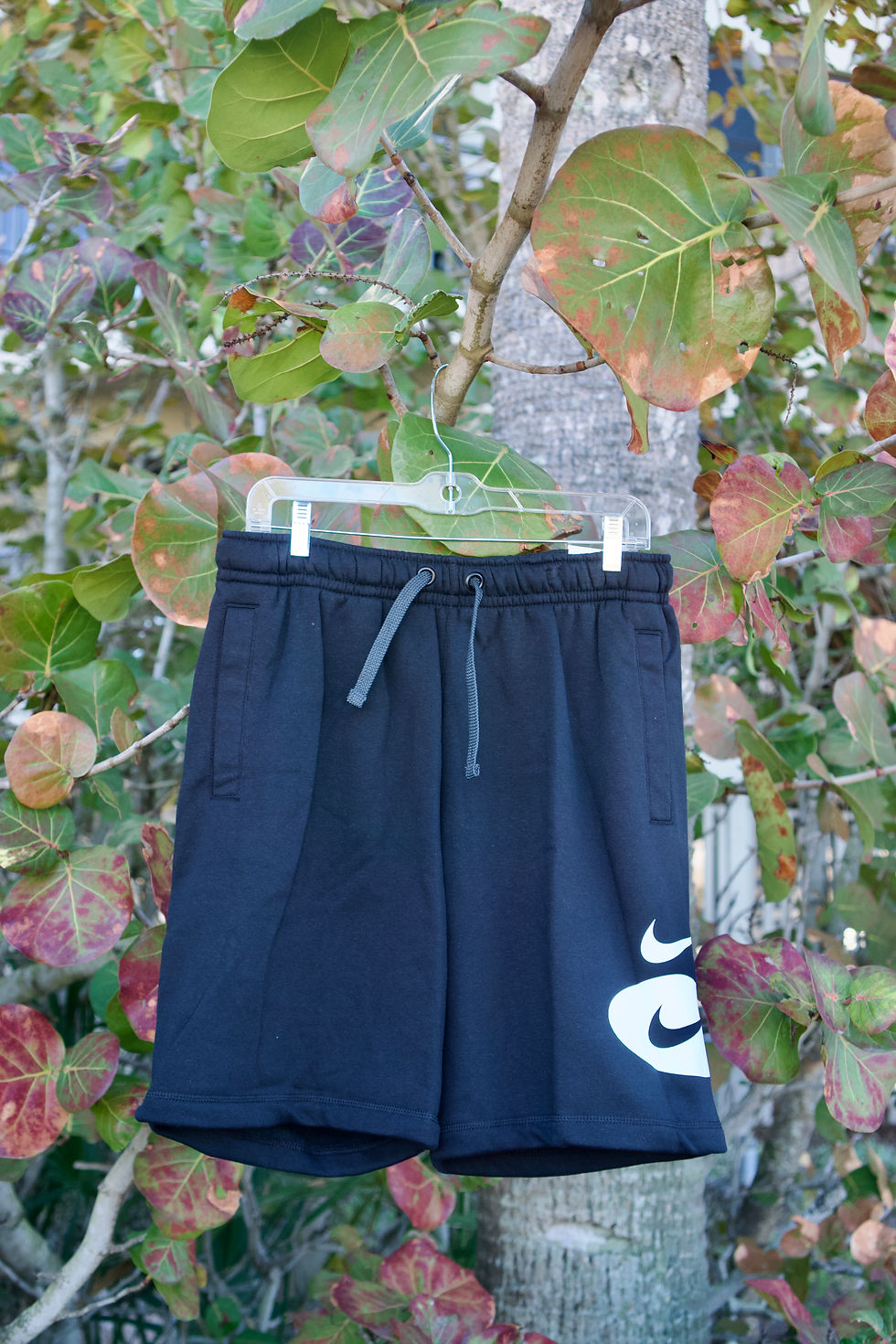 Thumbnail: GREY NIKE SHORTS W/ RED SWOOP