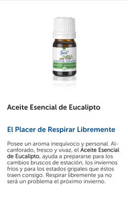 Eucalipto