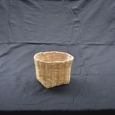 DSC_7916.JPG