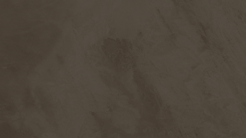 White Background_edited_edited_edited.png