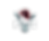 R&E ROSE.png