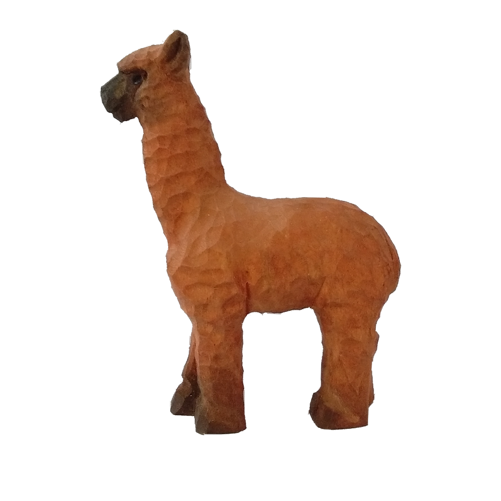 Thumbnail: ALPACA