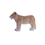 Thumbnail: LIONESS
