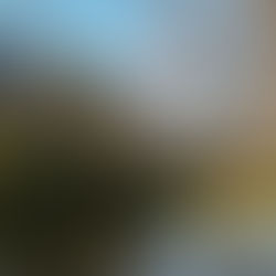 Exploring nature's ability to recharge your brain